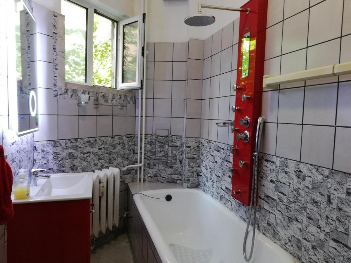 Center Cozy And Spacious Apartment Sofia